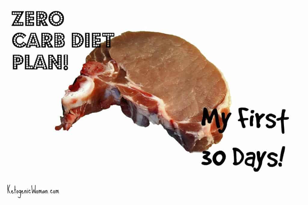 Zero Carb Diet Plan My First 30 Days 