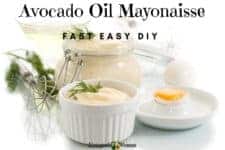 Homemade Avocado Oil Mayonaisse