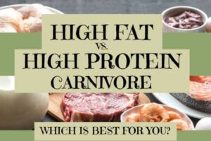 high fat vs high protein carnivore diet? Which is best for you?