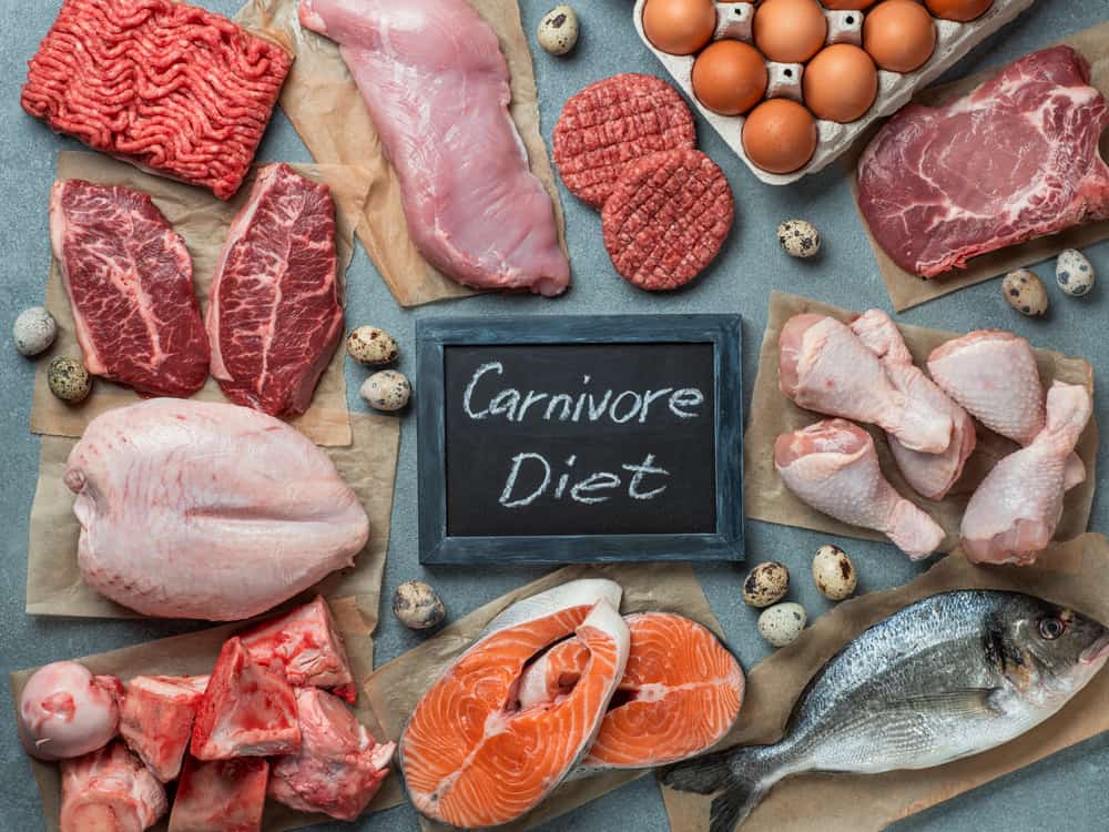 high protein carnivore diet image of all kinds of protein around a sign that says carnivore diet